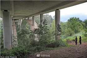 泰榕